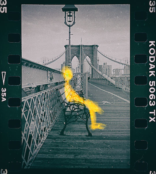 Brooklyn Bridge 98/23