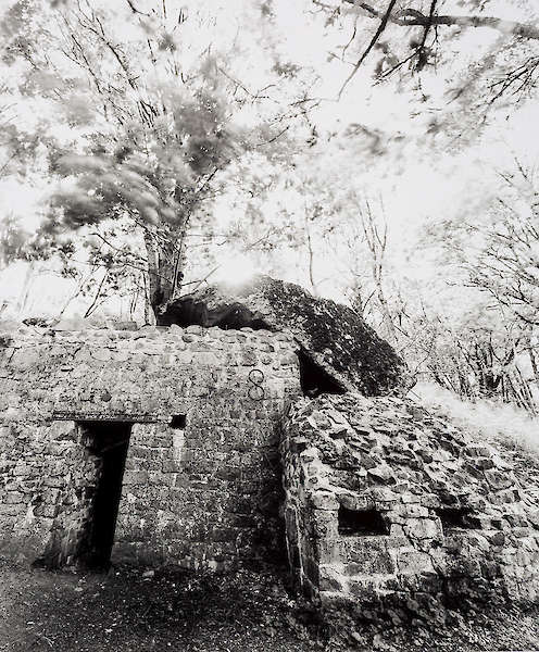 Tobias D. Kern: Hartmannswillerkopf #03