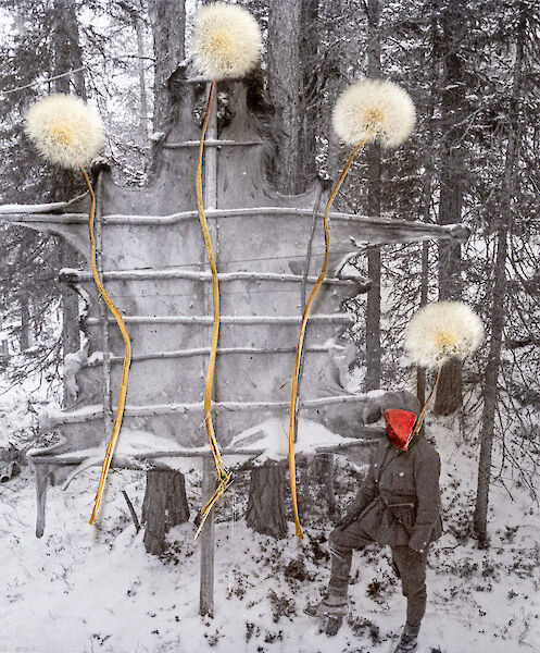 Black and white photo of a snow-covered forest with a person in the foreground. Dried dandelions were placed on the photo.