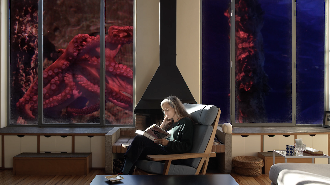 A person is sitting in a living room reading in an armchair. The window shows underwater shots and anemones instead of the expected view.